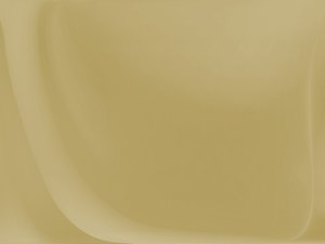 市场经济的实用技巧应对汇率波动